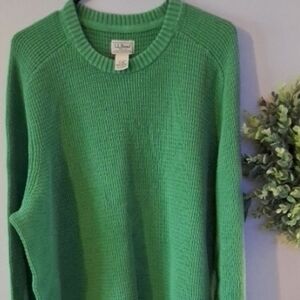 L.L. Bean Green Sweater for Men 14